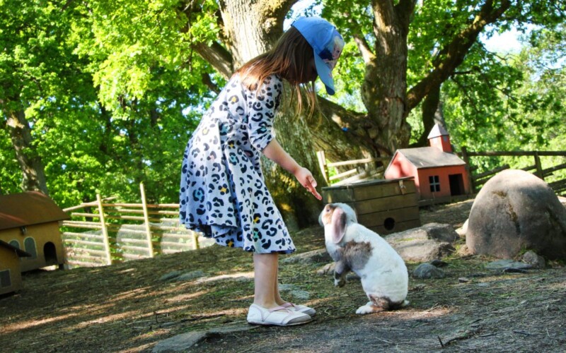 sommar i barnens miljoark